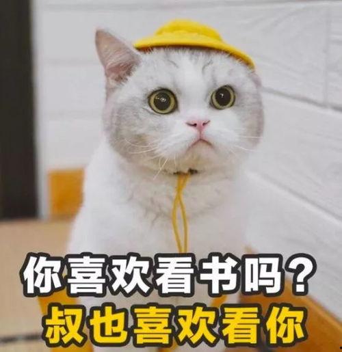 卖萌调皮表情包