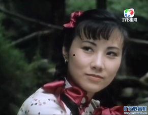 电视剧牵挂演员表