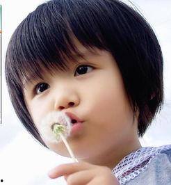 best宝贝个人资料,个性与才华的完美融合